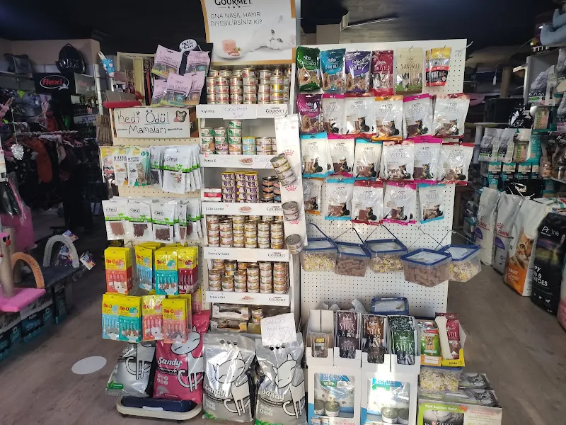 Görkem Petshop - Kartal Soğanlık foto 2