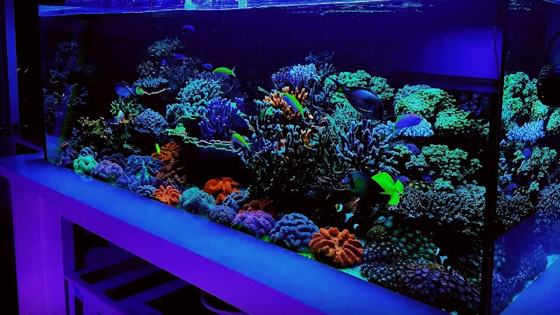 Aqua Reef Central foto 1