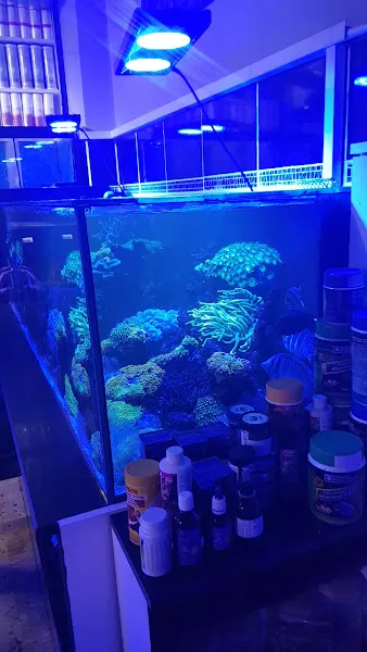 Aqua Reef Central foto 2