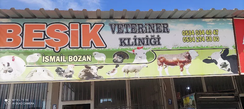Beşik veteriner kliniği foto 1