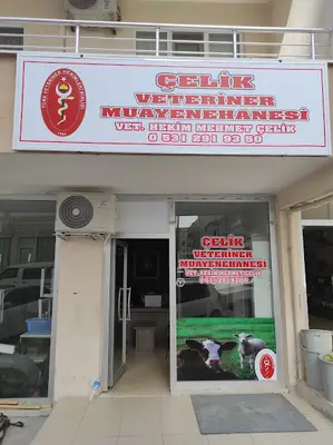 Çelik Veteriner Kliniği