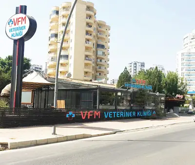 Hayvan Hastanesi Kliniği