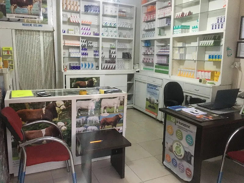 Yağmur Veteri̇ner Kliniği foto 2