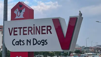 CATS n DOGS VETERİNER KLİNİĞİ