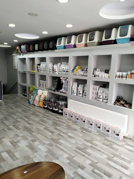 BASINEVLERİ VETERİNER KLİNİĞİ foto 1
