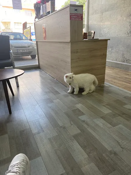 BASINEVLERİ VETERİNER KLİNİĞİ foto 2