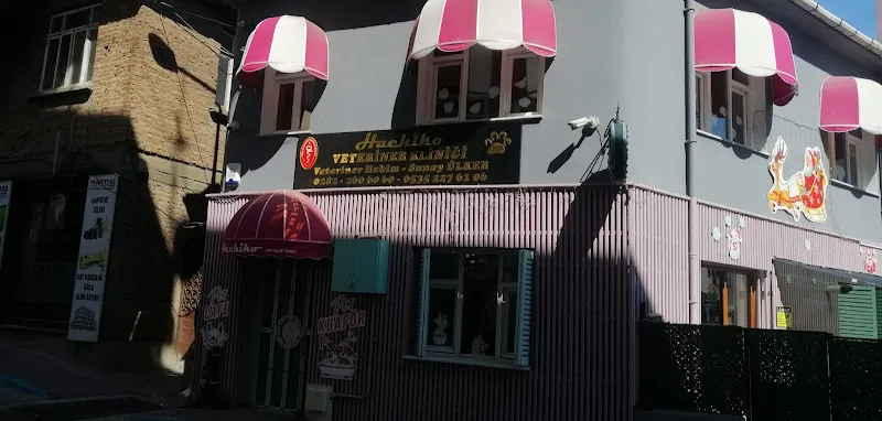 Hachiko Veteriner Kliniği foto 2