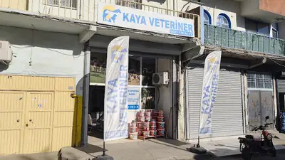 Kaya veteriner kliniği
