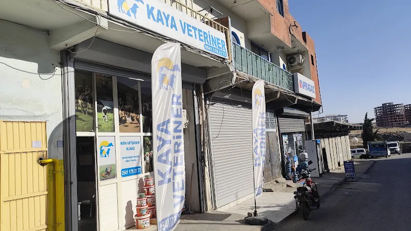 Kaya veteriner kliniği foto 2
