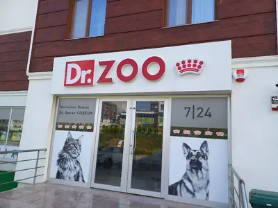 Dr-Zoo Veteriner Kliniği