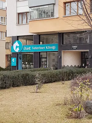 İVet Veteriner Kliniği