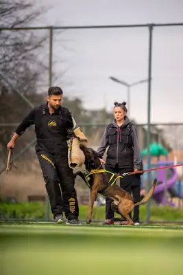 K9 Koleji - Köpek Eğitim Merkezi Bursa