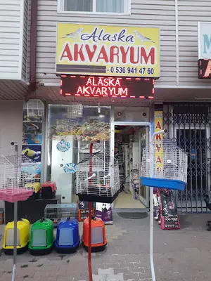 Konya sancak kosova mah alaska pet shop