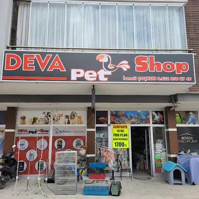 Deva Petshop akvaryum