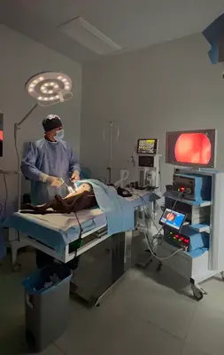 Kale Veteriner Kliniği