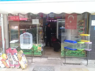 Marmados Akvaryum