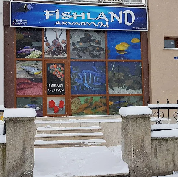 FishLand Akvaryum foto 1