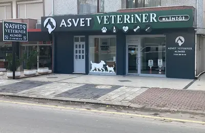 AsVet Veteriner Kliniği