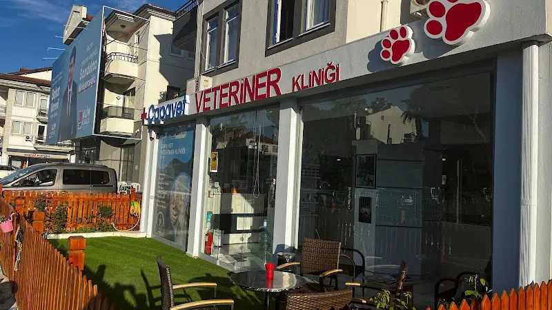 ÇapaVet Veteriner Kliniği foto 2