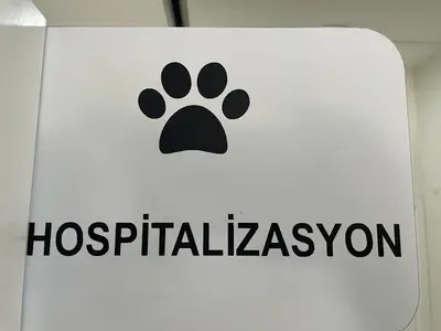 Yaylacı Pet - Veteriner Kliniği