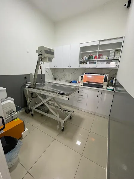 Yaylacı Pet - Veteriner Kliniği foto 2