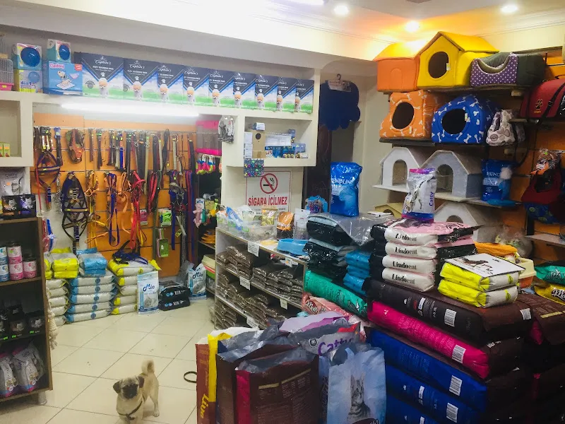 Fethiye Merkez Petshop foto 2