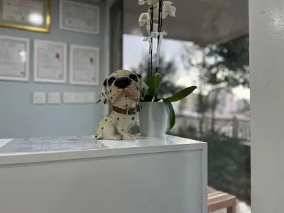 Bayındır Veteriner Kliniği