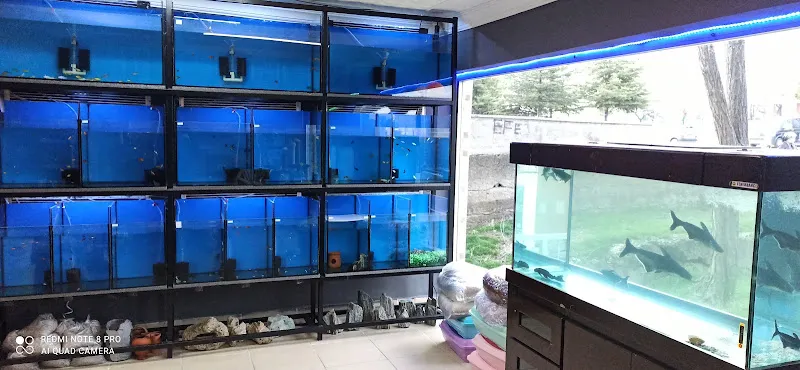 Boss Petshop foto 2