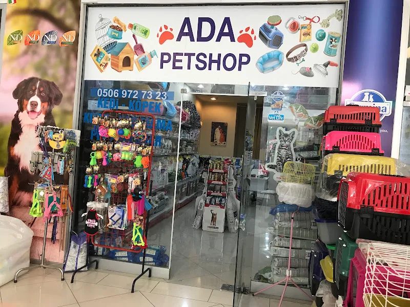 adapetshop akvaryum foto 2