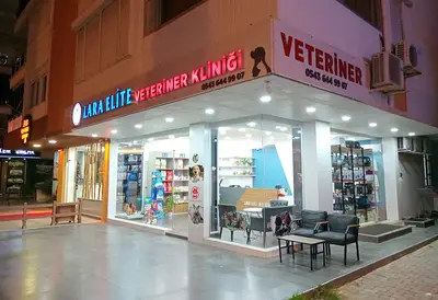 Lara Elite Veteriner Kliniği - Antalya 7/24 Nöbetçi Acil Veteriner Kliniği - Ветеринарная клиника fotoğrafı