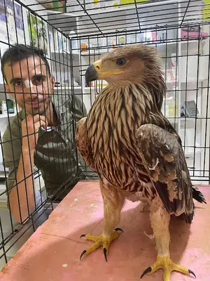 Yılmaz Veteriner Kliniği