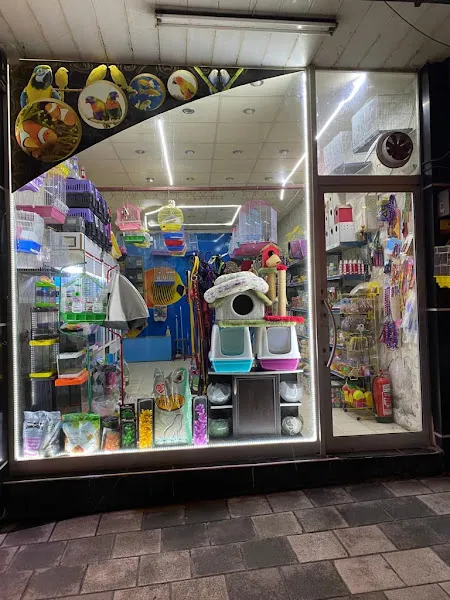 Çunar Pet Shop Aruaryum foto 2