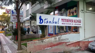 İstanbul Veteriner Kliniği-Atakum/SAMSUN