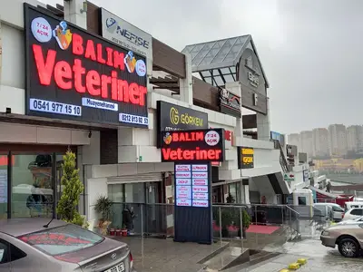 Balım Veteriner Muayenehanesi