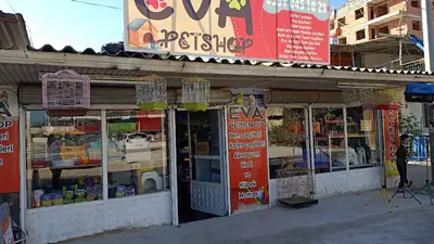 EVA GÜRBÜZ PETSHOP Antalya Altınova Düden mh Antalya cd no 1261Alo mama