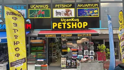 Uçankuş Petshop