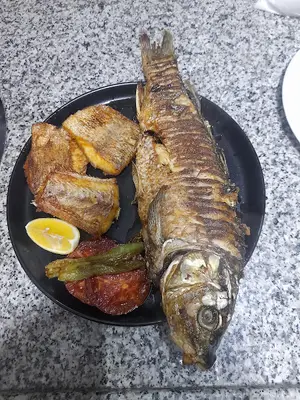 balıkçı aytaç