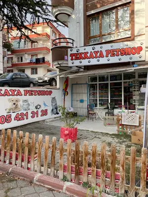 PURSAKLAR TEKKAYA PETSHOP