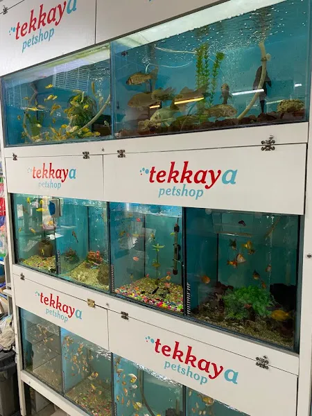 PURSAKLAR TEKKAYA PETSHOP foto 2