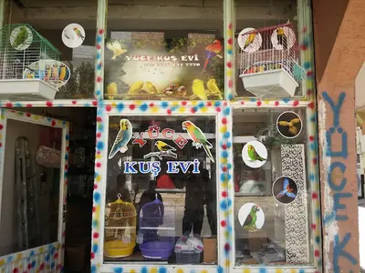 Yüce Petshop