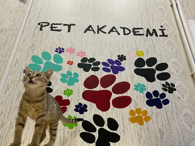 pet akademi veteriner kliniği