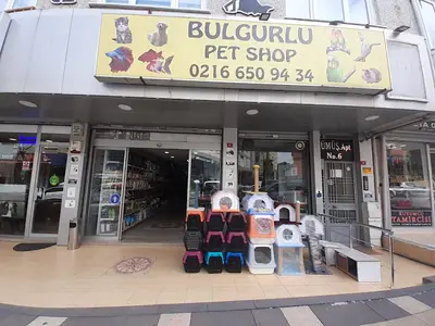 Bulgurlu Petshop