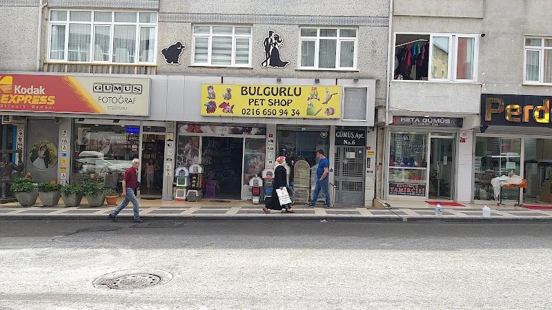 Bulgurlu Petshop foto 2