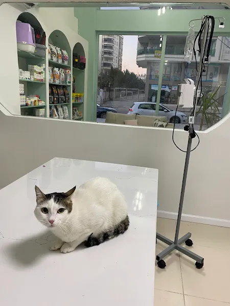 Şim-Med Veteriner Kliniği foto 2