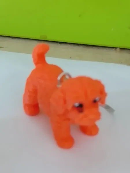 Antalya Betta Petshop-Market foto 2