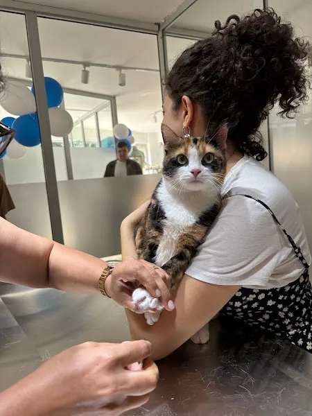 Çekmeköy Duru Veteriner Kliniği foto 2