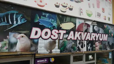 Dost Akvaryum