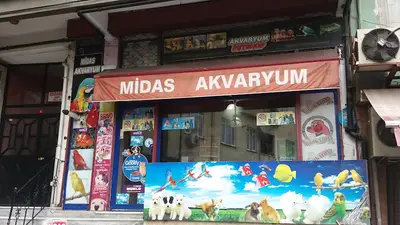 Midas Akvaryum Ayazağa Petshop