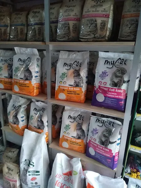 Midas Akvaryum Ayazağa Petshop foto 2