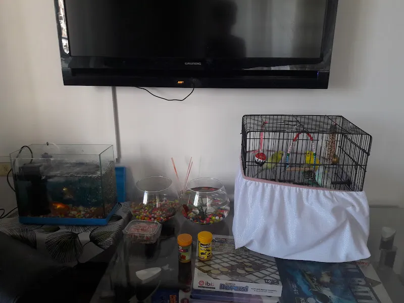 Kiran Akvaryum Pet Shop foto 2